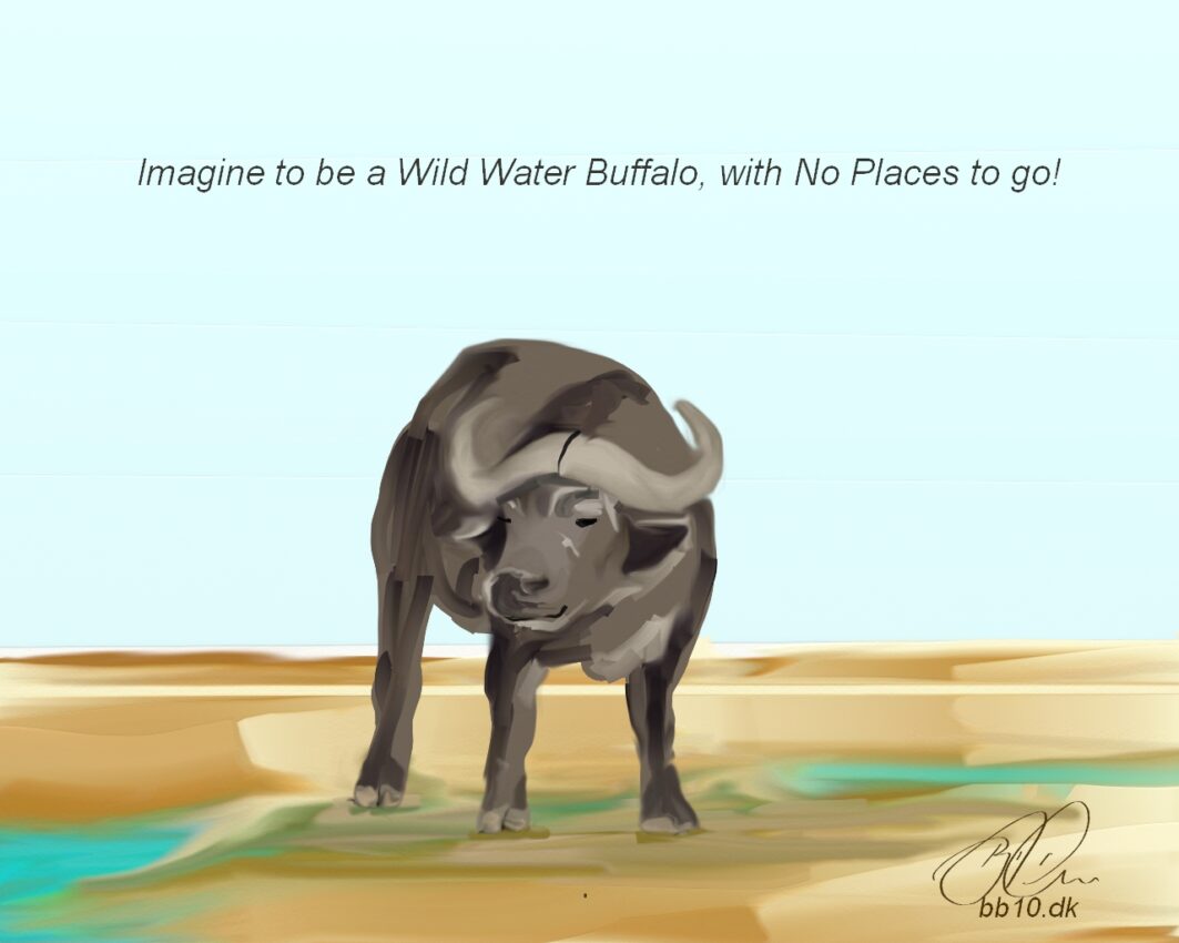 BB10 And Wild water buffalo are at-risk and live only in a small number