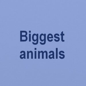 top 10 biggest animals