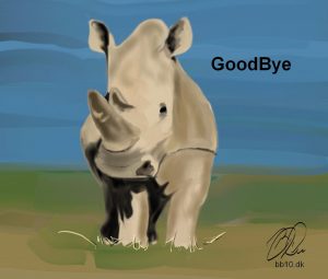 Go to Northern white Rhino