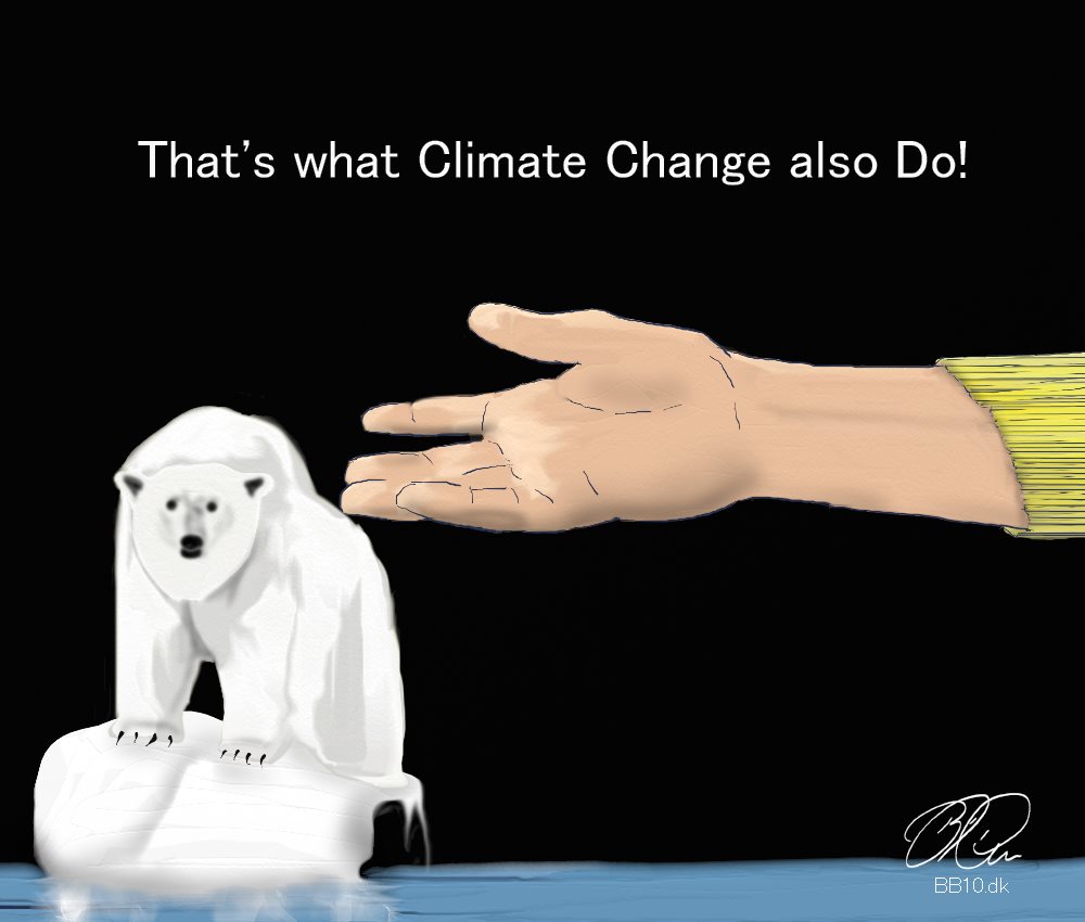 Climate Polar Bear
