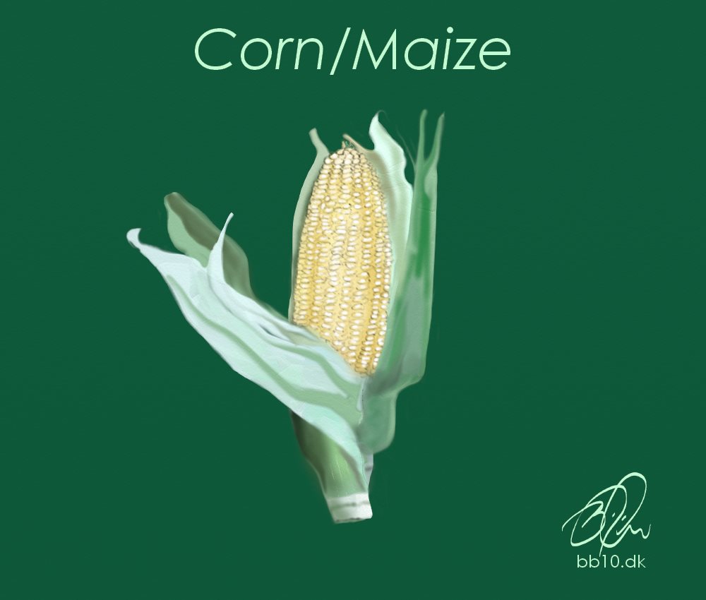 Go to Corn