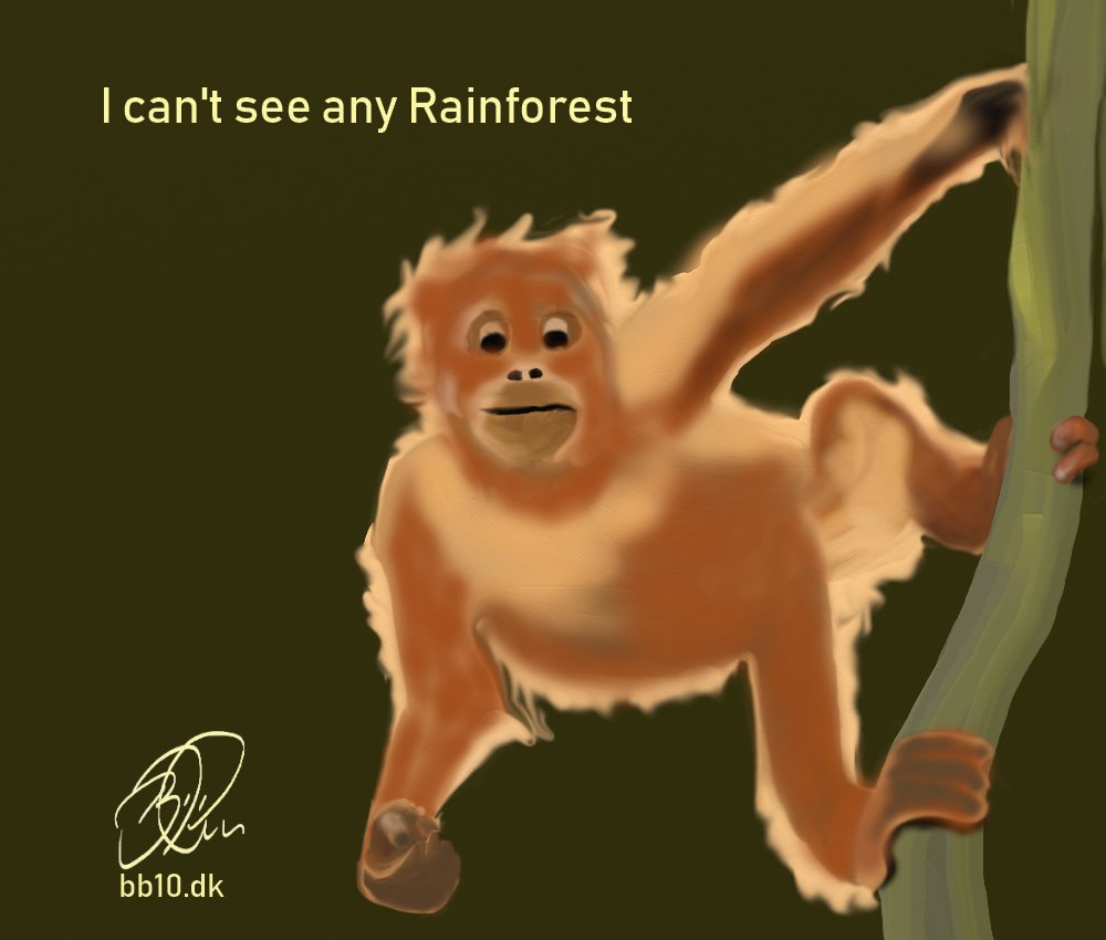 Go to Rainforest Orangutan