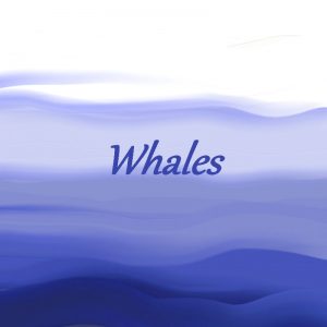 Whales BBC