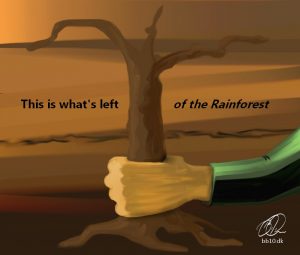 Rainforest end