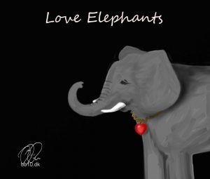 Go to Love Elephants
