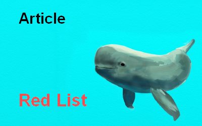 Article Finless Porpoise Red List