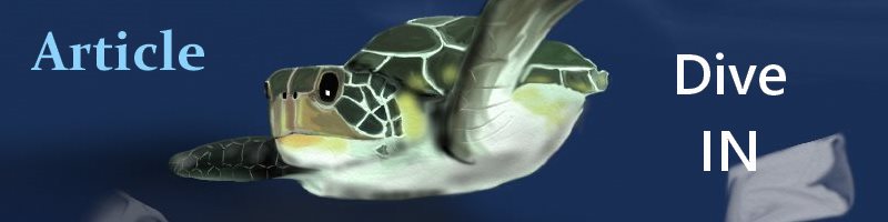 Sea Turtles Dive IN