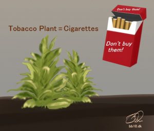 Tobacco Plants