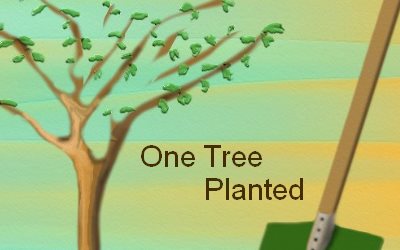 One tree Planted