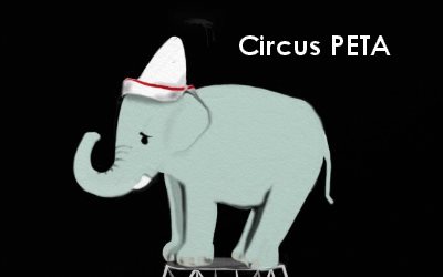 Article Elephant Circus PETA