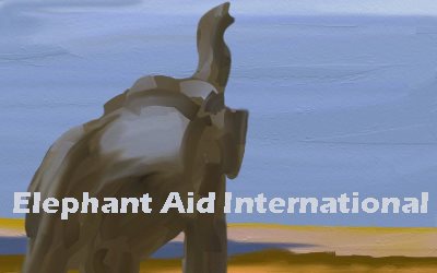 Article Elephant Elephant aid International