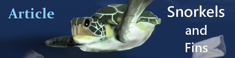Sea Turtles Plastic Snorkels and Fins