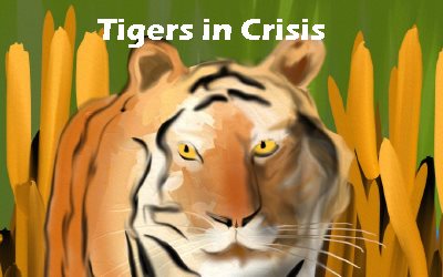 Article Tigers in Crisis