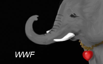 Info Love Elephants WWF