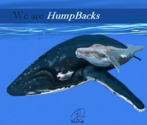 Go to Humpbacks