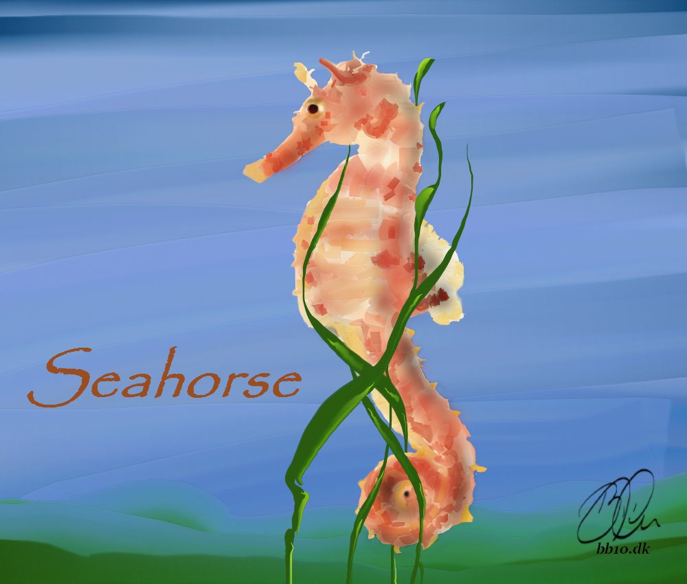 Go to Seahorse