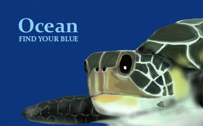 Ocean Find your Blue Green Sea Turtles 