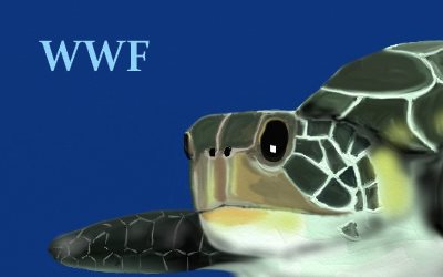 WWF Species Green Turtle