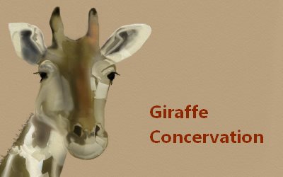 Giraffe Concervation
