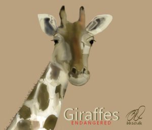 Giraffes Endangered