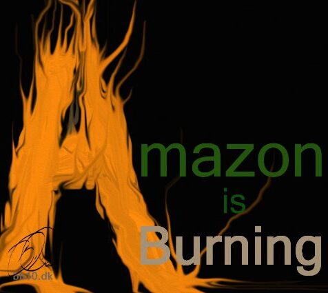 Amazone Burning