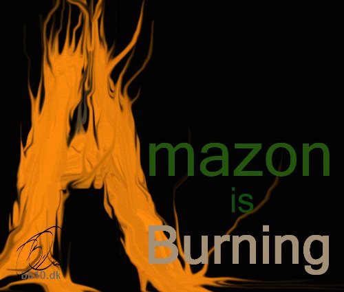 Amazone Burning