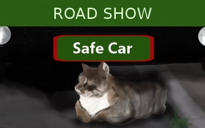 Safe Car Road Show