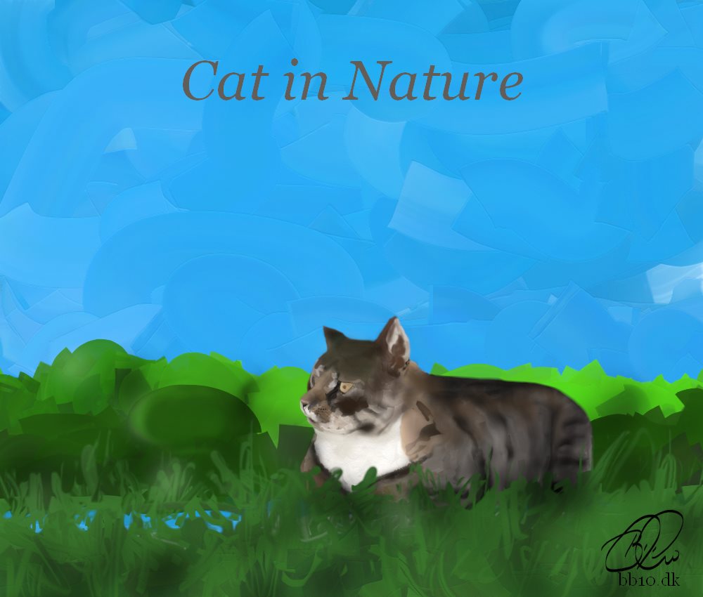 Cat in Nature
