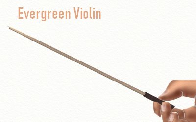 Evergreen Violin a Guide to the history of Music
