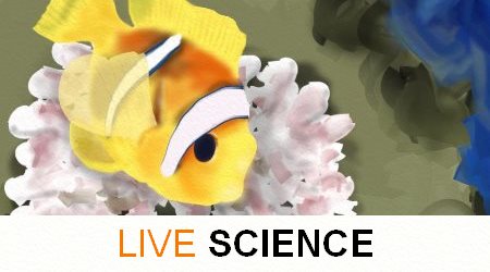 Live Science Clownfish
