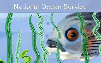 Ocean Service Facts Coral