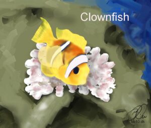 Go to Clownfish