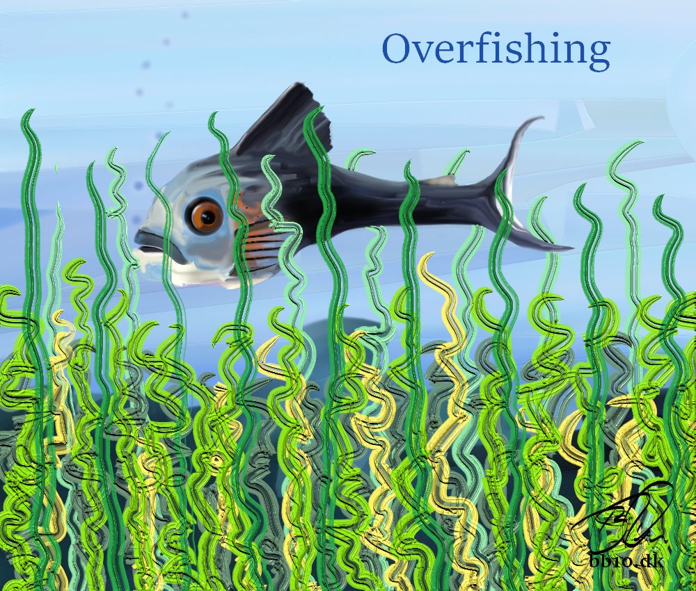 Overfishing Threat