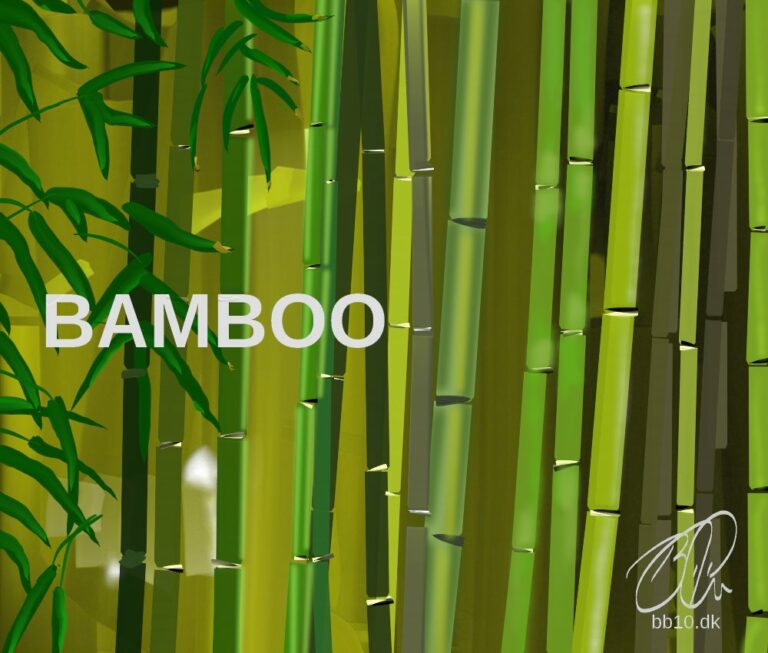 Bamboo Benefits • BB10 Around the World