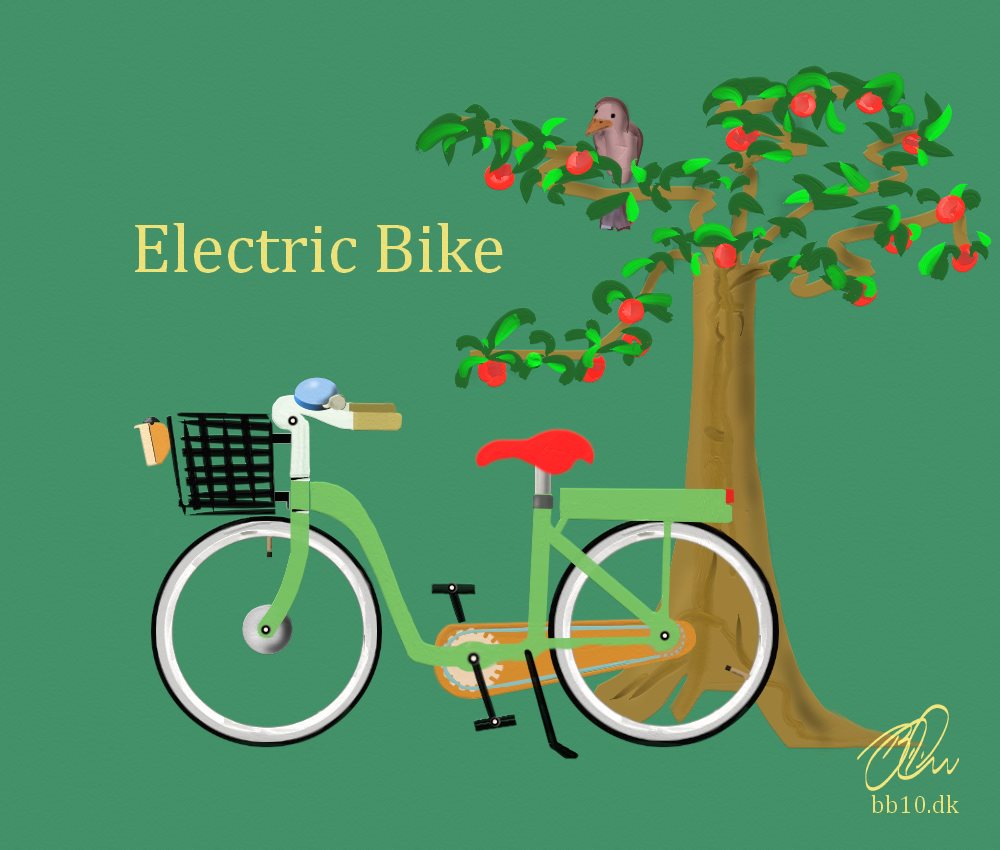 Electric Bike