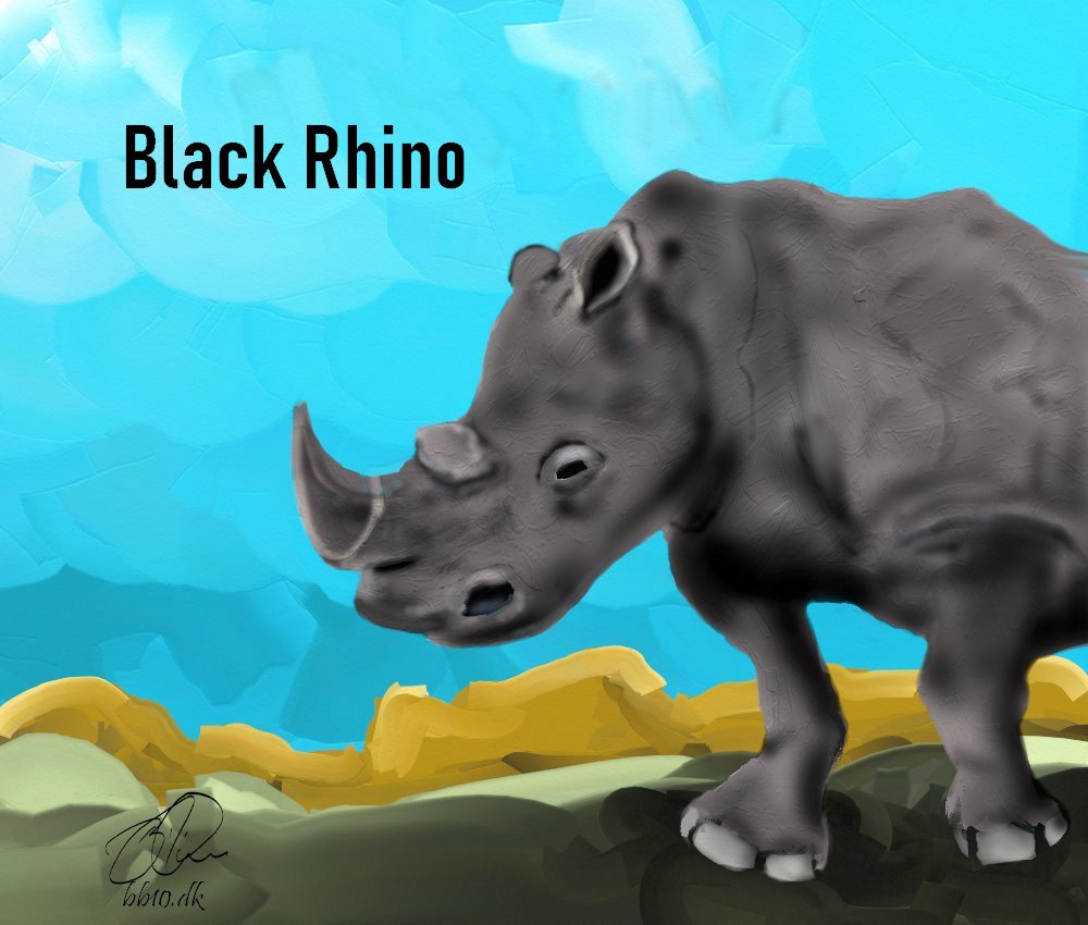Go  to Black Rhino