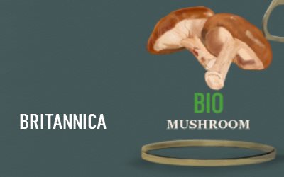 Britannica Science Mushroom