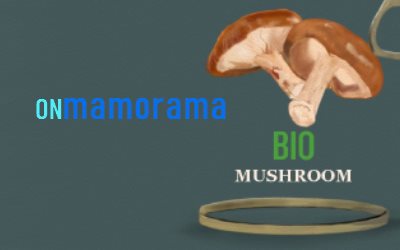 ONEmanorama Best Edible Mushrooms