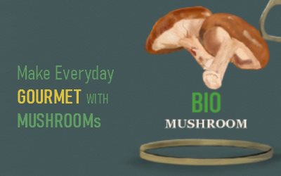 Mushroom info Gourmet
