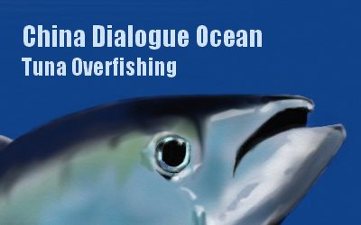 China Dialogue Ocean Tuna