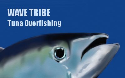 Wave Tribe Tuna Overfishing