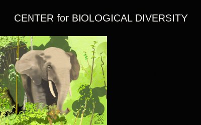 Center for Biological Diversity Forest Elephants