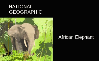 National Geographic African Elephant