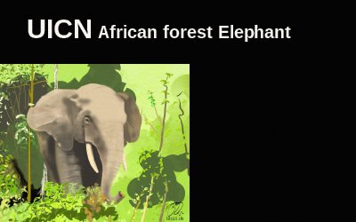 UICN African Elephant