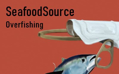 Seafood Source Overfishing