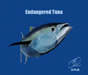 Go to Endangered Tuna