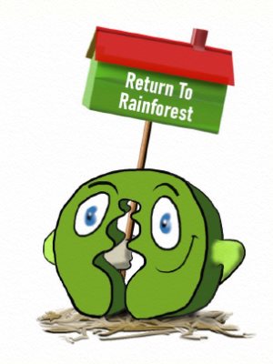 Return to Rainforest
