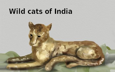 National Geographic Wild Cats of India
