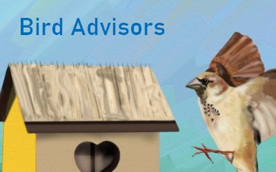 House Sparrows Bird Advisors Small Birds