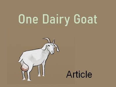 One Dairy Goat